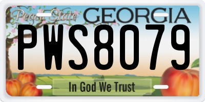 GA license plate PWS8079
