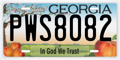 GA license plate PWS8082