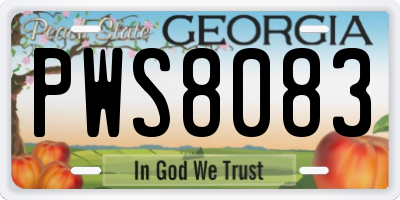 GA license plate PWS8083