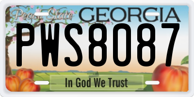 GA license plate PWS8087