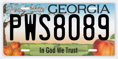 GA license plate PWS8089
