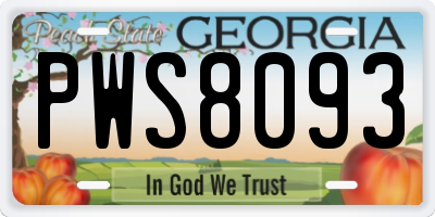 GA license plate PWS8093