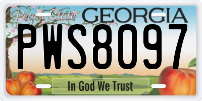 GA license plate PWS8097