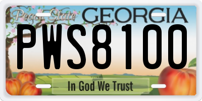 GA license plate PWS8100