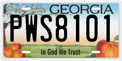 GA license plate PWS8101