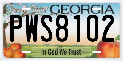 GA license plate PWS8102