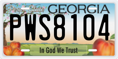 GA license plate PWS8104