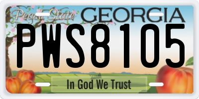 GA license plate PWS8105