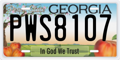 GA license plate PWS8107