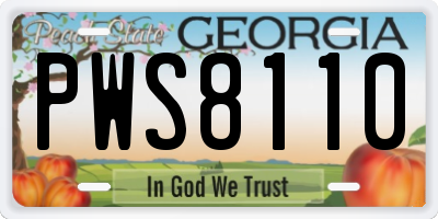 GA license plate PWS8110