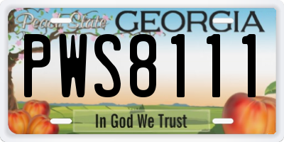 GA license plate PWS8111