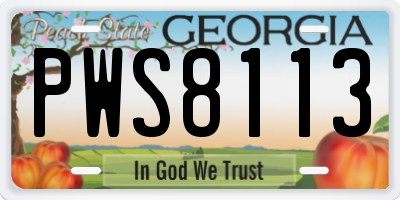 GA license plate PWS8113