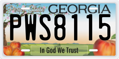 GA license plate PWS8115