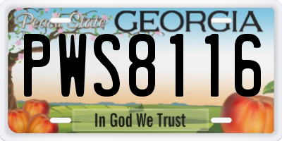 GA license plate PWS8116