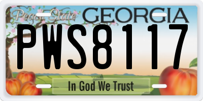 GA license plate PWS8117