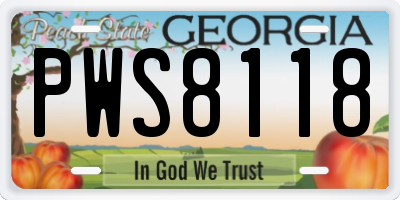 GA license plate PWS8118