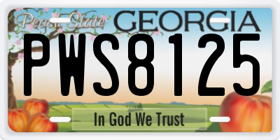 GA license plate PWS8125