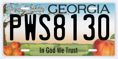 GA license plate PWS8130