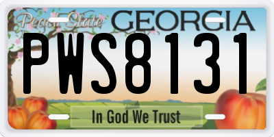 GA license plate PWS8131