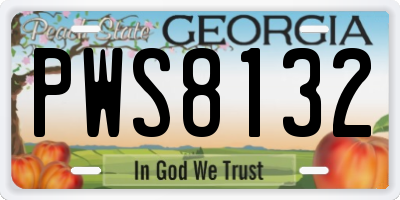 GA license plate PWS8132