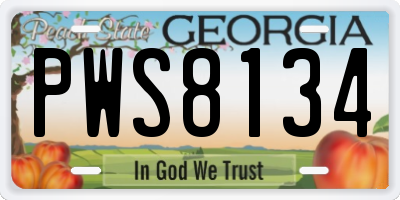 GA license plate PWS8134