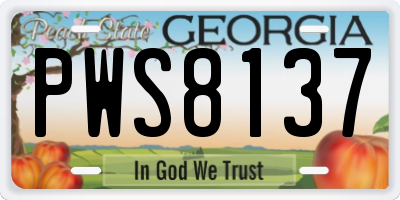 GA license plate PWS8137