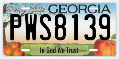 GA license plate PWS8139