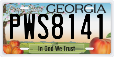 GA license plate PWS8141