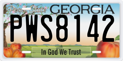 GA license plate PWS8142