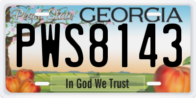 GA license plate PWS8143