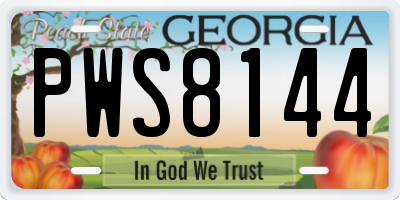 GA license plate PWS8144
