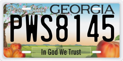 GA license plate PWS8145