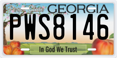 GA license plate PWS8146