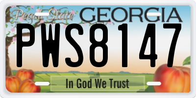 GA license plate PWS8147