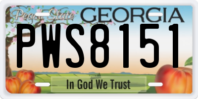 GA license plate PWS8151