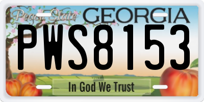 GA license plate PWS8153