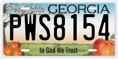GA license plate PWS8154