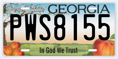 GA license plate PWS8155