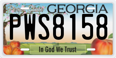 GA license plate PWS8158