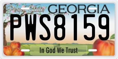 GA license plate PWS8159