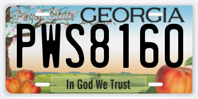 GA license plate PWS8160