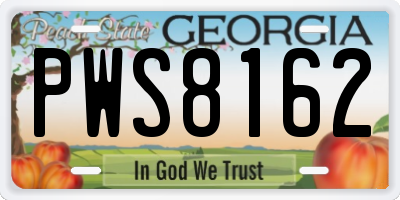 GA license plate PWS8162