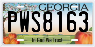 GA license plate PWS8163