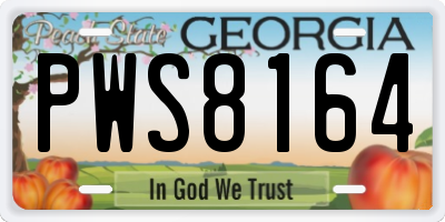 GA license plate PWS8164