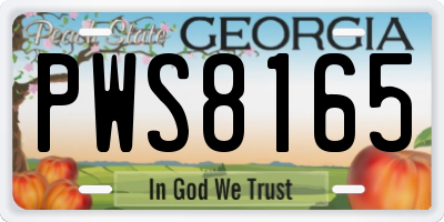 GA license plate PWS8165