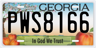 GA license plate PWS8166