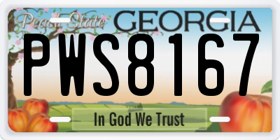 GA license plate PWS8167