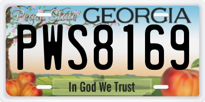GA license plate PWS8169