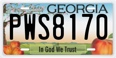 GA license plate PWS8170