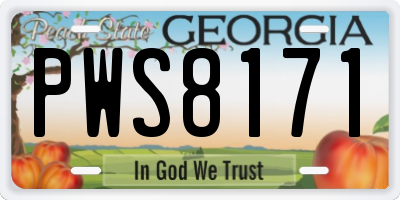 GA license plate PWS8171